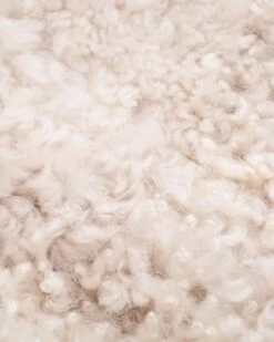 Reversible Curly Toscana Coat 15 Reversible Curly Toscana Coat -Celtic And Cos 179320